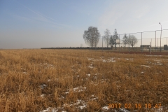 DSCN5816