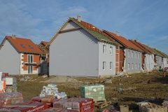TBF_8759