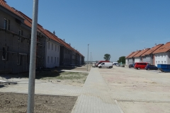 DSC08295
