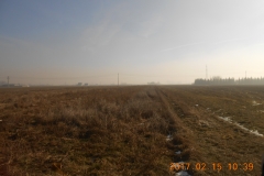 DSCN5810