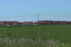TBF_0099